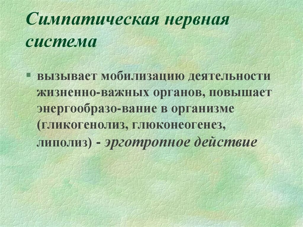 Симпатическая нервная. Симпатическая нервная система. Симпатическая нервная система вызывает. Симпатические нервы вызывают. Симпати́ческая не́рвная систе́ма.