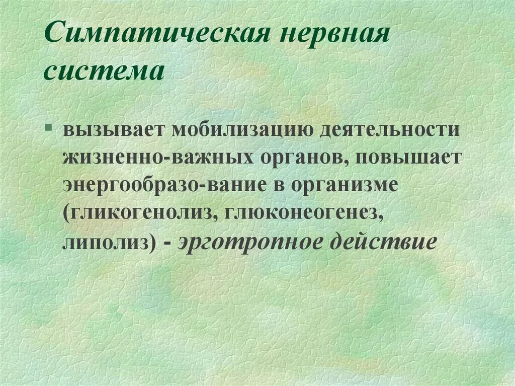 Работа симпатического нерва. Симпатическая нервная система. Симпатический нерв вызывает. Симпатиеский нерв вызывае. Симпатические нервы.