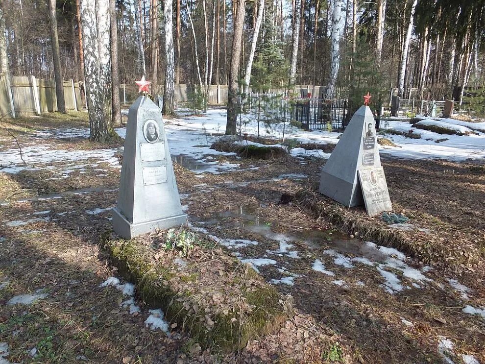 Кладбище в Щелково. Гребенское кладбище Щелково. Сертолово мемориальное кладбище. Поселок Чкаловский Карелия. Деревни чкаловской области