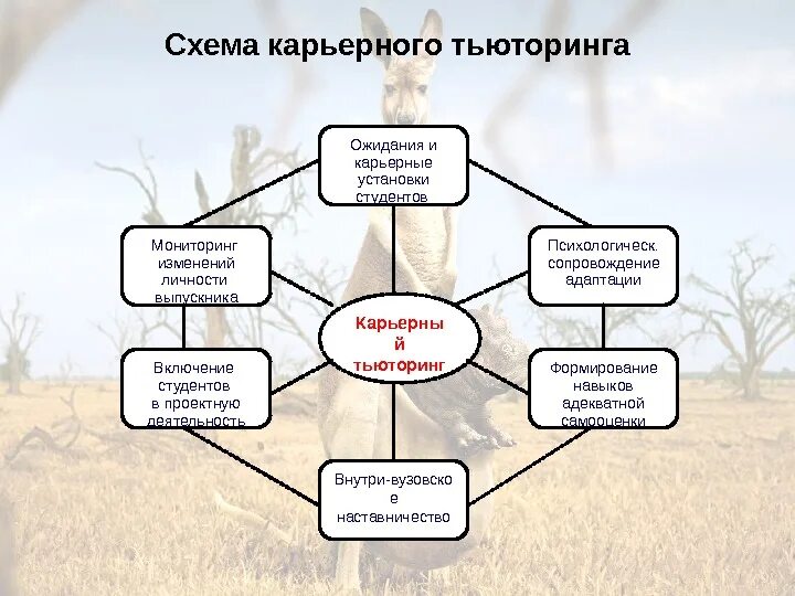 Социальное явление на примере карьеры. Схема карьерного тьюторинга. Схема карьерного роста. Схема карьерные этапы. Карьерные ожидания.