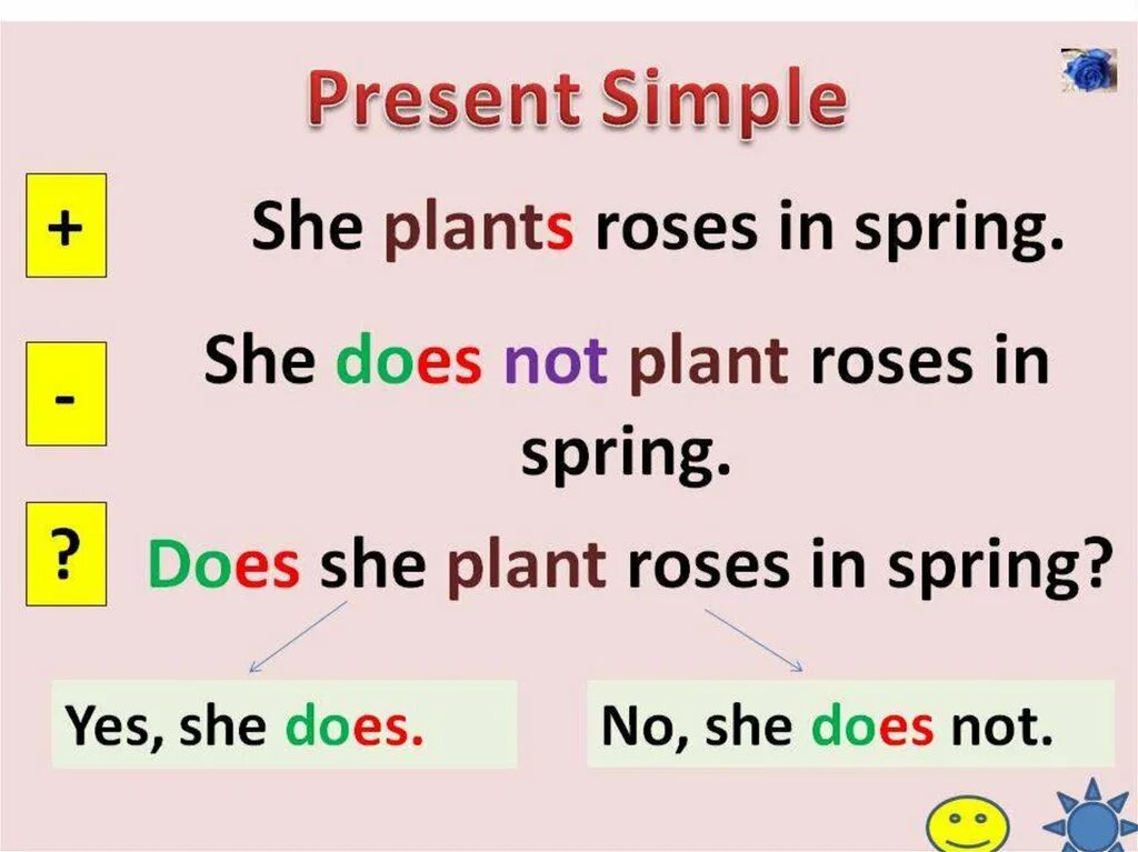 Present simple положительные. Present simple did правило. Present simple настоящее простое правило. Present simple Elementary Rules. Present simple правило 7 класс.