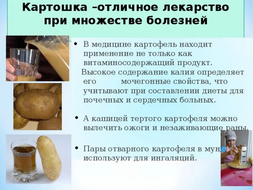 Можно есть сырой картофель. Картофель в народной медицине. Применение картофеля в медицине. Картофель как лекарство. Картошка – отличное лекарство при множестве болезней..