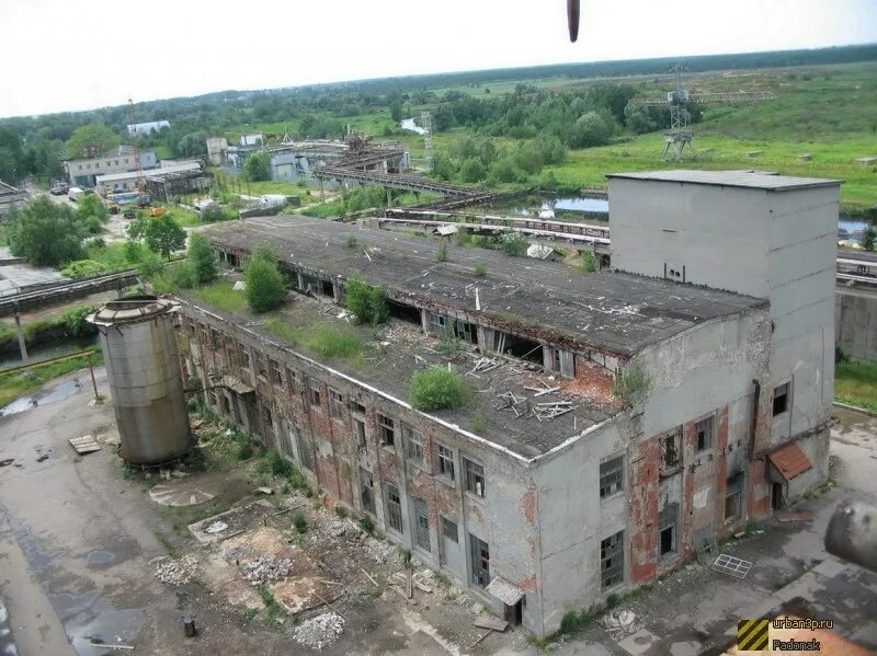 Цбк 2. Заброшенный завод цепрусс калининград. цбк приозерск. цбк цепрусс в калининграде.