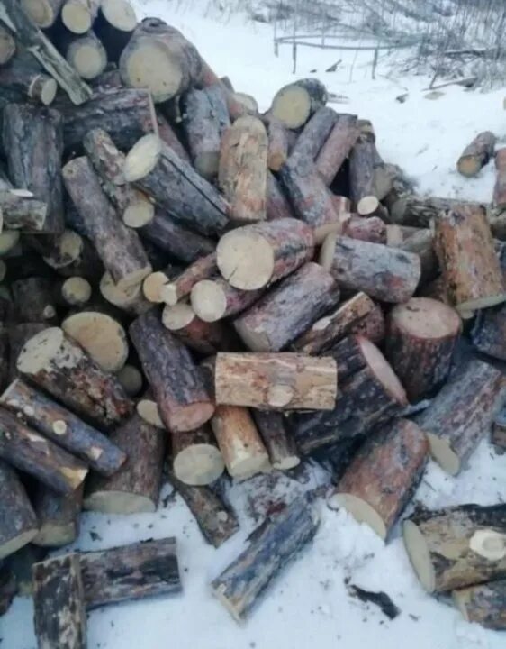 Сосново дрова сухие. Сосново дрова сухие. Дрова сосновые. Дрова еловые. Сухие дрова сосна в горно алтайске.