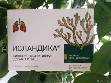 Исландика