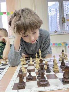 Шахматы 23