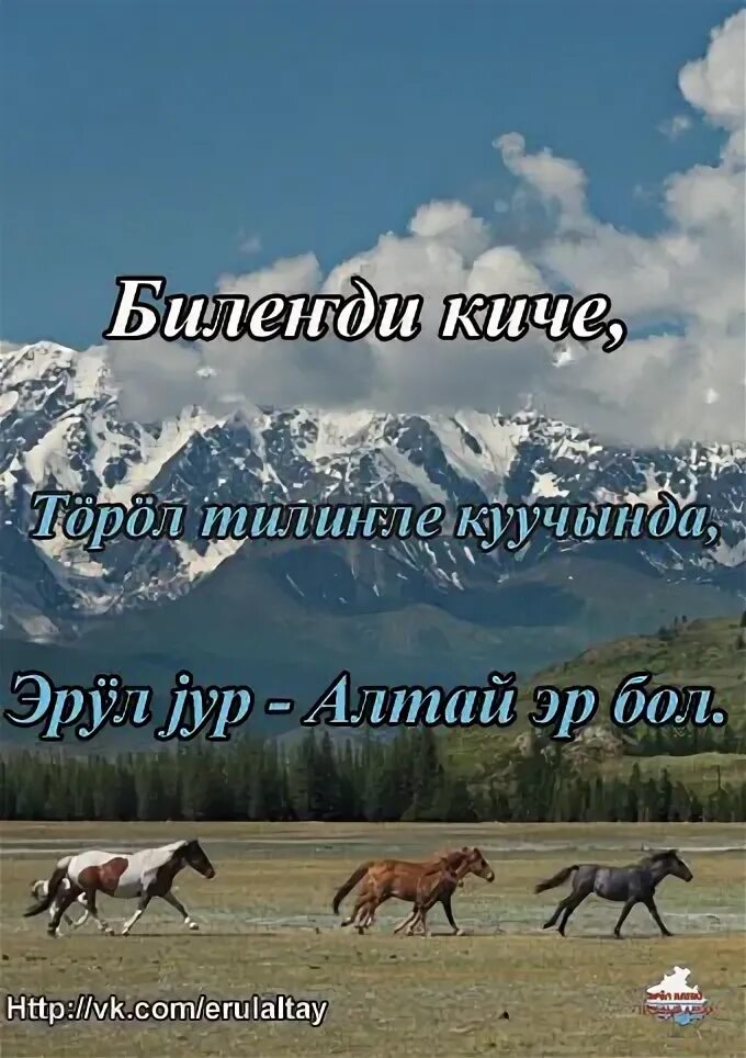 Поздравления на Алтайском языке. Пожелания на Алтайском языке. Открытки с днём рождения на Алтайском языке. Открытки на Алтайском языке.
