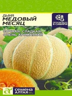 Дыня медовая отзывы описание сорта