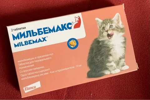 Таблетки от глистов для котят 2 месяца