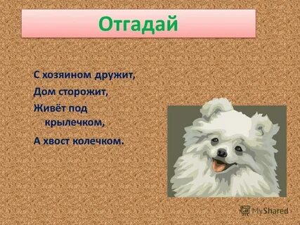 Хозяин слова книга