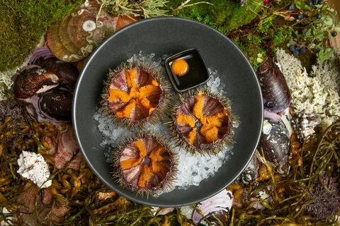 Арктическая кухня мурманск