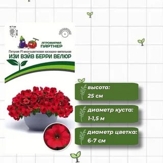 Агрофирма петунии