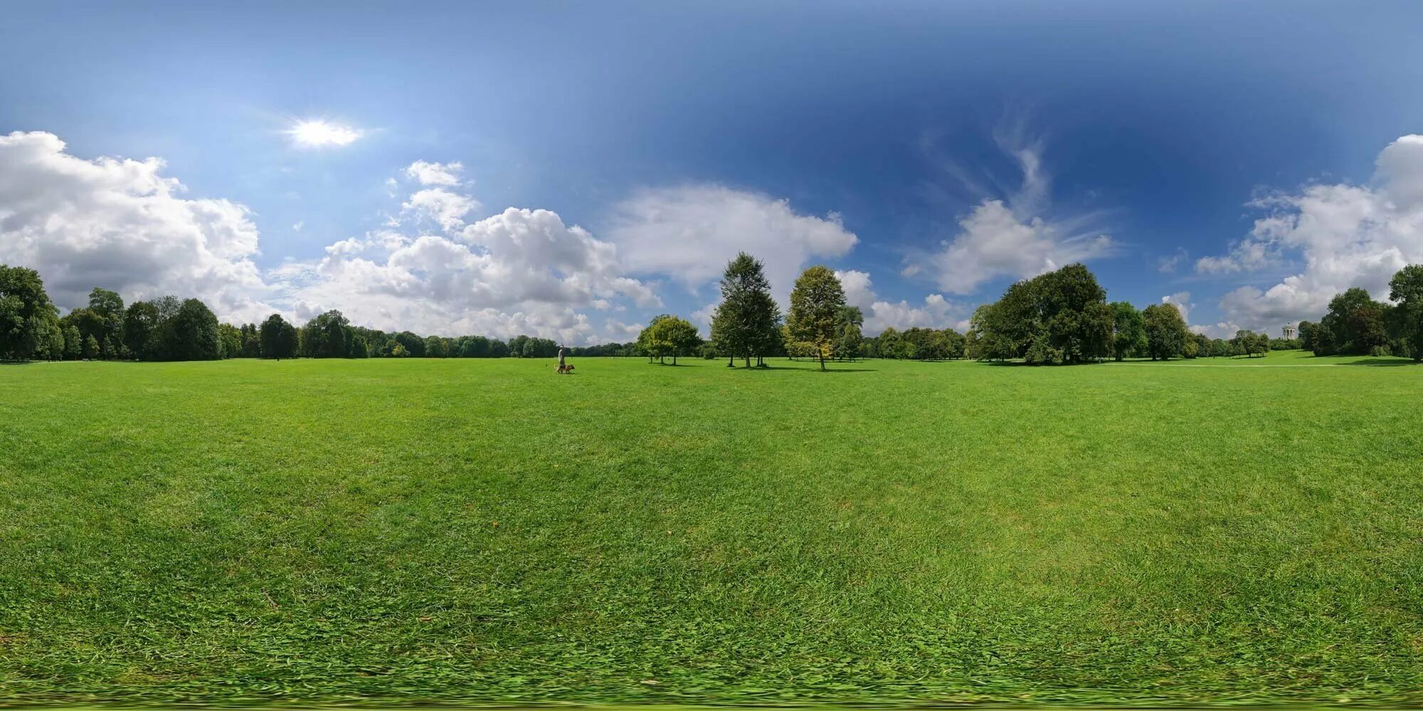 Render field