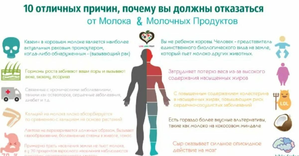 Почему герою необходимо было пить молоко. Вредное молоко. Вред молочной продукции. Чем вредно молоко. Влияние молока на организм человека.