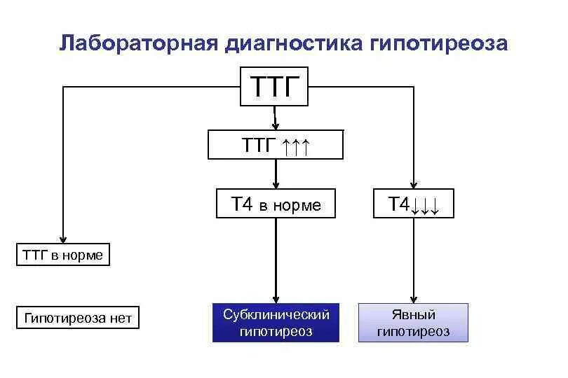 Повышенный ттг гипертиреоз. Т3 т4 ТТГ при гипотиреозе. Алгоритм диагностики гипотиреоза схема. Первичный гипотиреоз лабораторные показатели. Вторичный гипотиреоз ТТГ И т4.