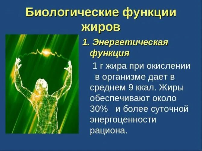 Энергетическая функция жиров в организме. Жиры энергетическая функция. энергетическая роль жиров. функции жира в организме человека. функции жиров в организме человека.