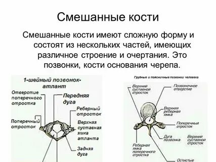 Где каждый из которых имеет
