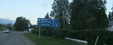 Анонимка тонкино нижегородская