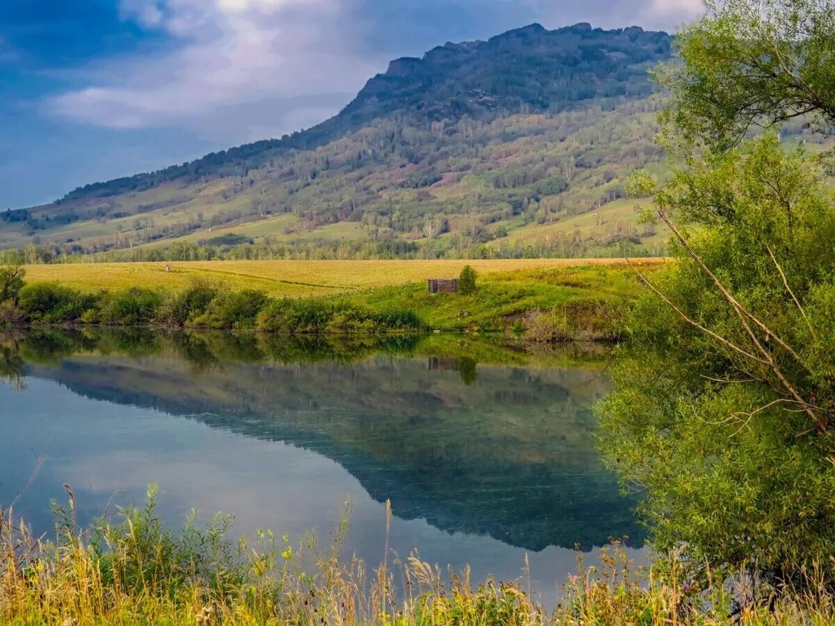 алтайский край 1 место. катунский биосферный заповедник. алтайский край 1 место. алтайский край 1 место. нижнее шавлинское озеро.