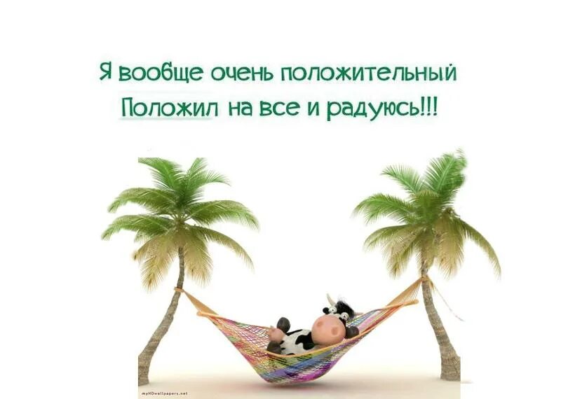 Не очень это вообще как у всех. Я вообще положительная положила на все и радуюсь. я вообще положительная....положила на всё и радуюсь. я вообще очень положительная. я вообще очень положительная положила на всё и радуюсь картинки.