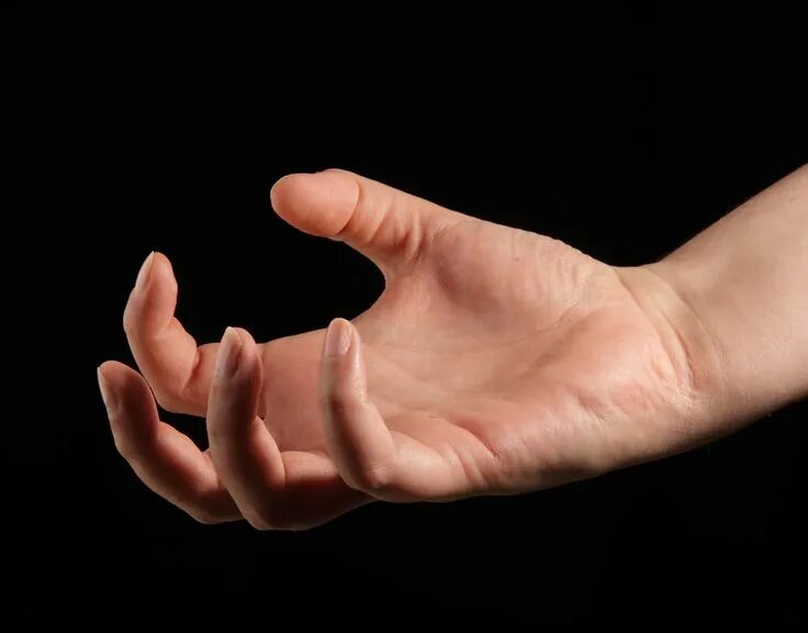 Hand upon. Рука. Протянутая рука на прозрачном фоне. Застенчиво пальцы. Hand upon.