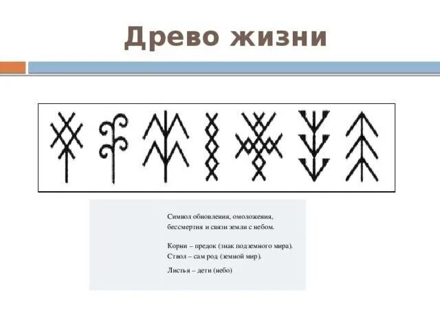 Древние символы жизни. Солярные знаки Древо жизни. Символы воды в народном искусстве. Древний символ Древо жизни.