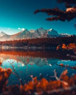 Фото на экран телефона природа