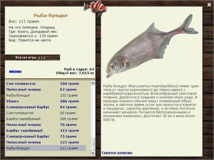 Рыбы граммы