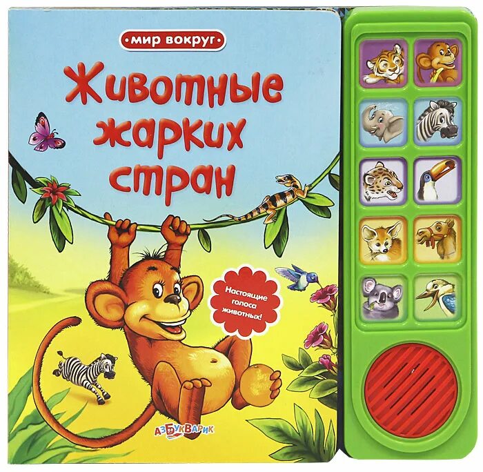 Животные жарких стран книжка. Книга животные жарких стран. Сказки жарких стран. Лексическая тема дикие животные. Животные тёплых стран.
