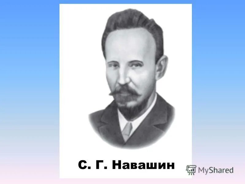сергей гаврилович навашин. жизнь и научная деятельность навашина. жизнь и научная деятельность навашина. сергей гаврилович навашин портрет. с г навашин жизнь и научная деятельность.