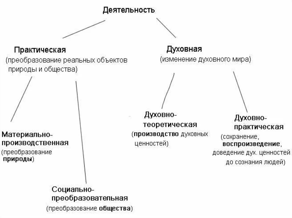 Деятельность человека делится на. Практическая и духовная деятельность. Практическая деятельность. Практическая деятельность и духовная деятельность. Практическая деятельность и практическая деятельность.