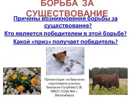 Бороться какой