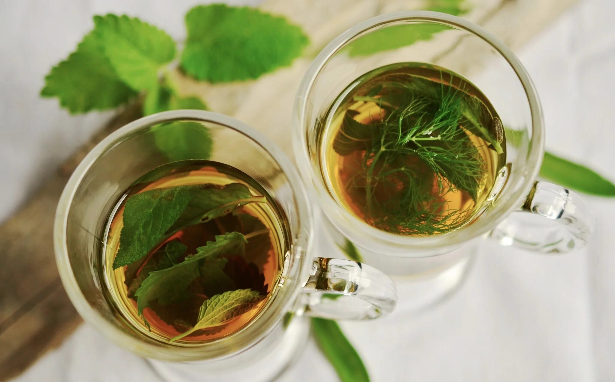 Что можно добавить в чай. Сиху лунцзин чай. herbal tea мята. отвар мяты. чай с мятой.