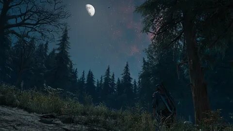 Gone forest