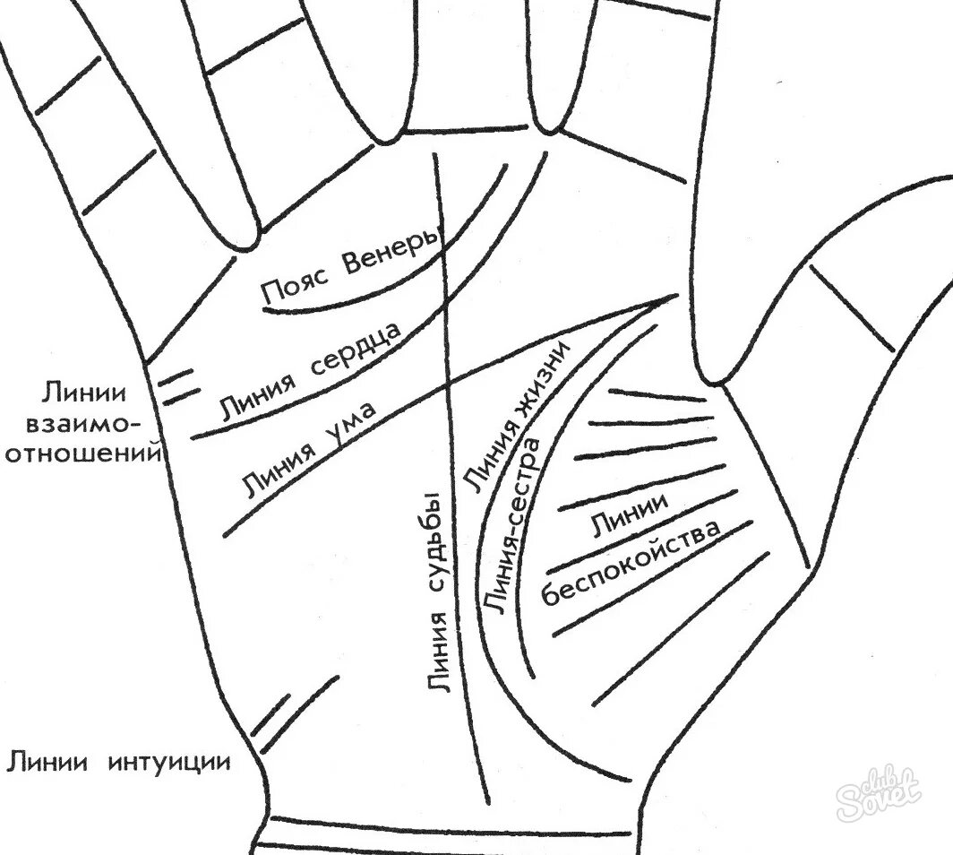Как по руке определить количество. Хиромантия линия детей. Как понять по линиям на руке сколько детей. Хиромантия линии детей на руке. Дети по ладони хиромантия.
