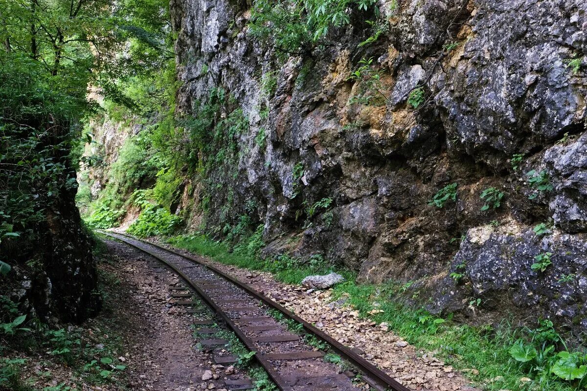 Гуамское ущелье адыгея. Гуамское ущелье река курджипс. Курджипское ущелье мезмай. Гуамское ущелье река курджипс. Мезмай ущелье.