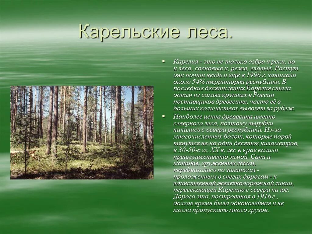 Какие леса встречаются на территории. Леса Карелии презентация. Карельские леса основа. Лесной фонд Карелии. Растительный мир Карелии презентация.