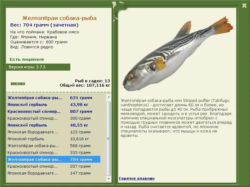 Рыба собака характеристика. Желтоперая рыба. Желтоперая рыба собака. Такифугу рыба. Рыба желтопер Амурская рыба.