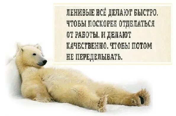 Все быстро. Ленивый человек делает все быстро и качественно. ленивые все делают быстро и качественно чтобы. лентяи делают все быстро и качественно. ленивые всё делают быстро чтобы поскорее отделаться от работы.