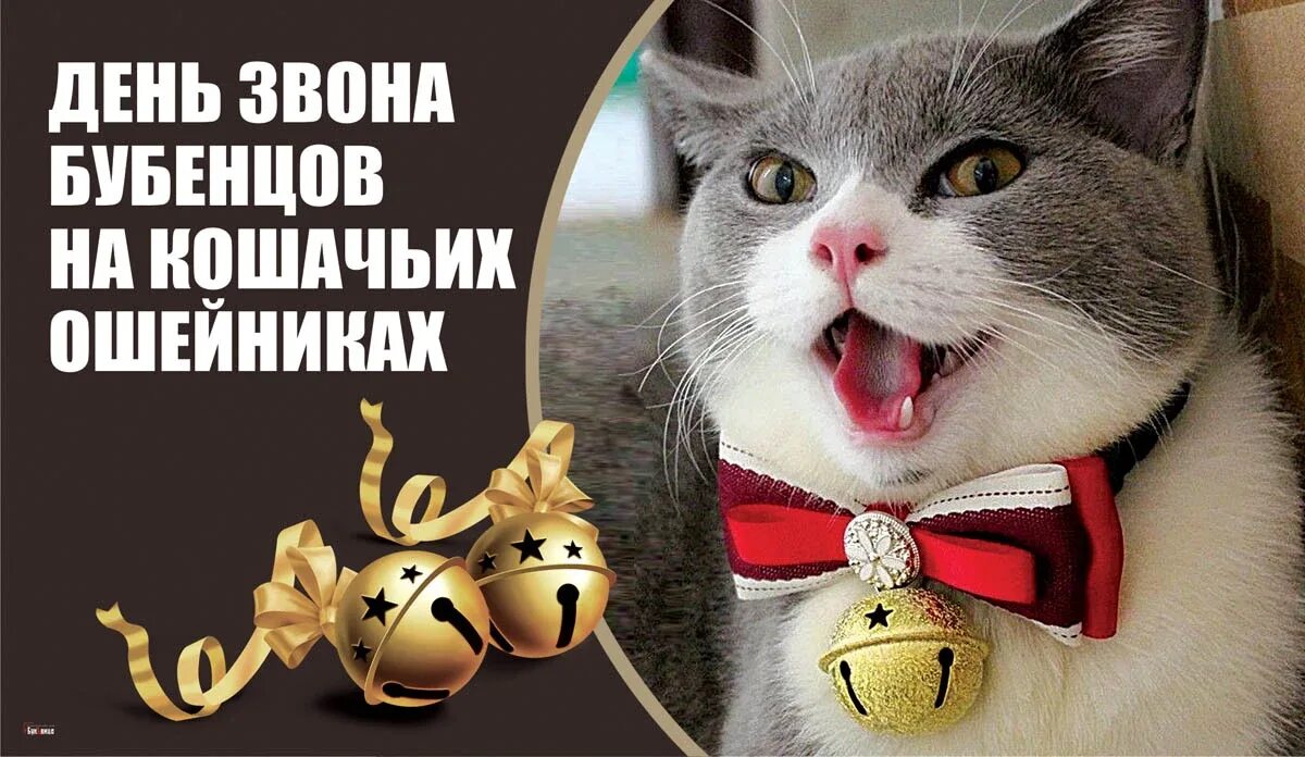 Звон бубенцов. День звона бубенцов на кошачьих ошейниках. кошачьи бубенцы. праздник бубенцов на кошачьих ошейниках открытки. 5 апреля день звона бубенцов на кошачьих.