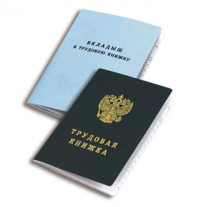 Трудовая книга это. Трудовая книжка украины 1974 года. Трудовая книжка картинка. Труд книжка. Трудовая книжка нового образца.