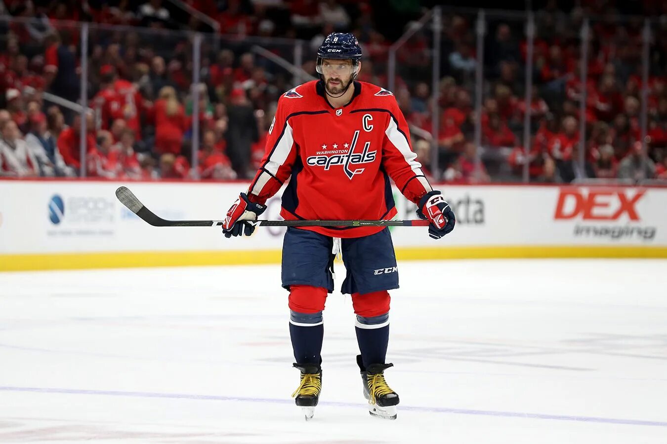 Washington Capitals Овечкин. Овечкин НХЛ Вашингтон Кэпиталз. НХЛ игрок Овечкин.