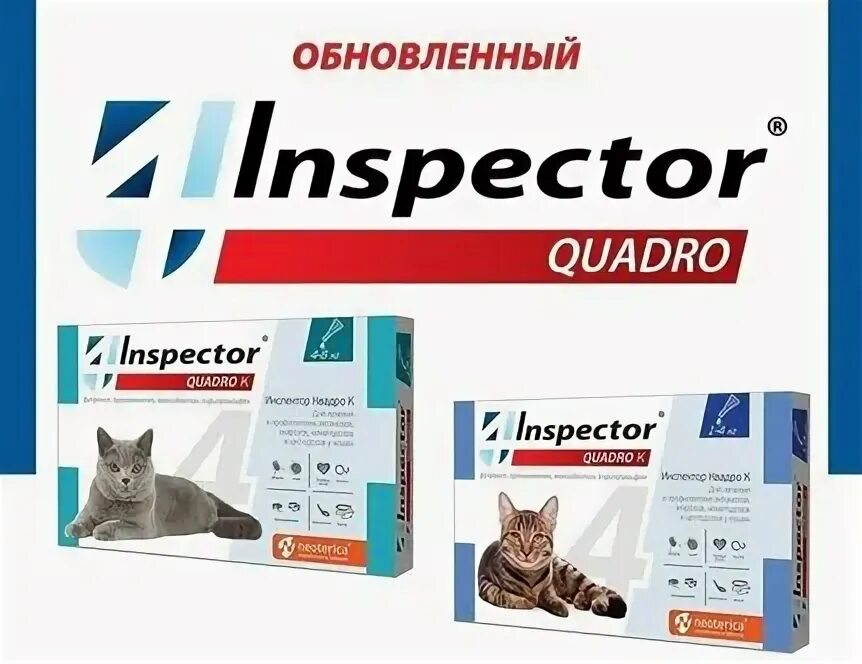 Инспектор квадро 4 8 кг. Капли inspeсtor квадро к для кошек 8-15 кг. инспектор квадро к для кошек 4-8 кг. инспектор квадро к капли для кошек 8-15кг 1,5мл. инспектор квадро капли от паразитов для кошек 4-8кг.