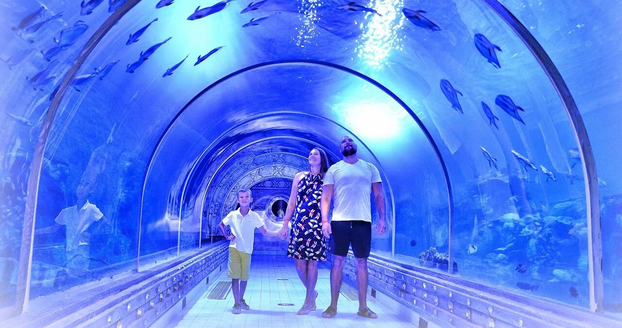 Гранд аквариум Хургада. Grand Aquarium Hurghada в Хургаде. Океанариум в Египте. Океанариум «Гранд-аквариум» в Хургаде. Океанариум хургада