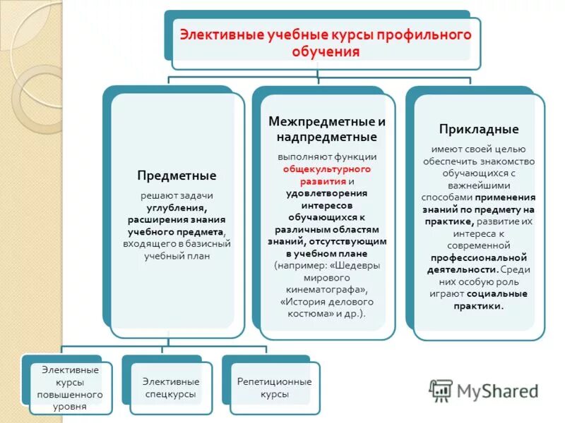 Что такое элективные курсы. Элективные курсы в профильном обучении. Профильные учебные предметы. Виды элективных курсов. Элективные учебные предметы это.