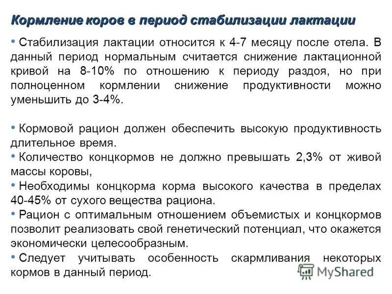 характеристика временного прикуса. сроки стабилизации. сроки стабилизации. сроки стабилизации. скорость восстановления.