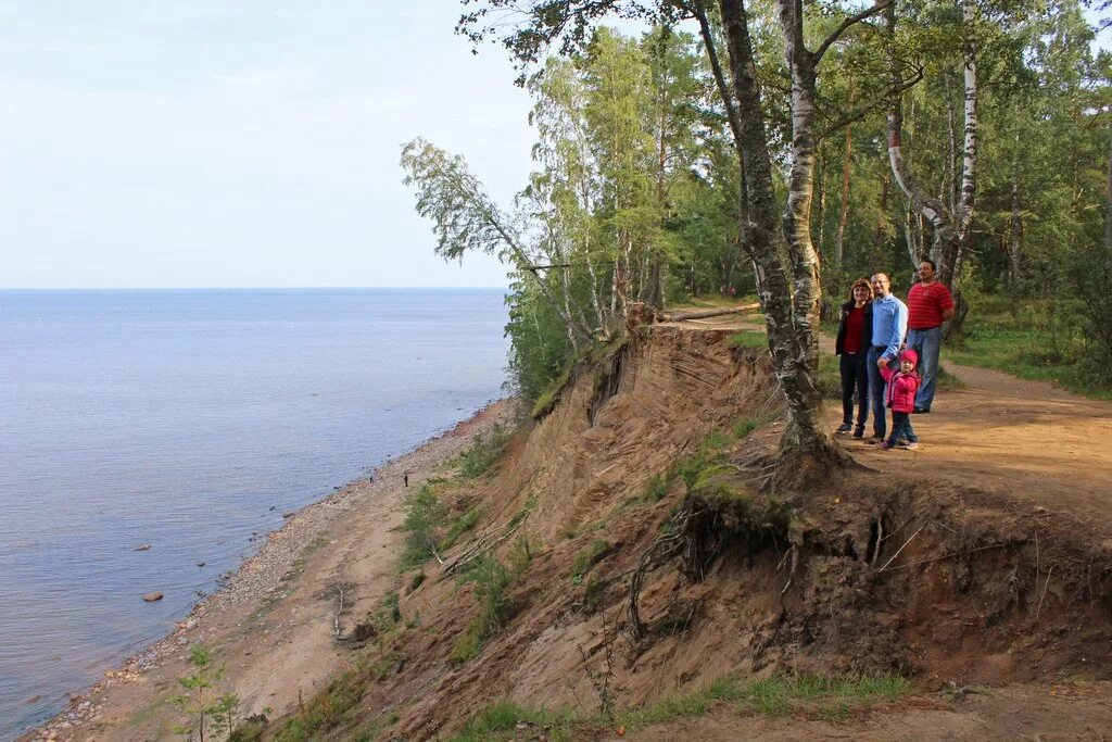 Окрестности сосново. Форт красная горка Сосновый Бор. Горка в Сосновом Бору. Форт красная горка достопримечательности. Сосново достопримечательности.