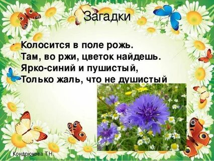 Загадка стоит в поле
