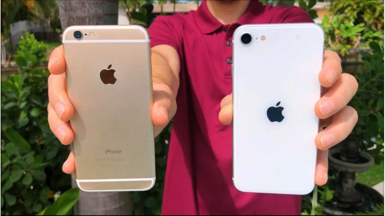 Камера айфон се 2020. Камера iphone se 2016. Iphone 6 vs iphone se 2020. Iphone se 2020 и 6с.