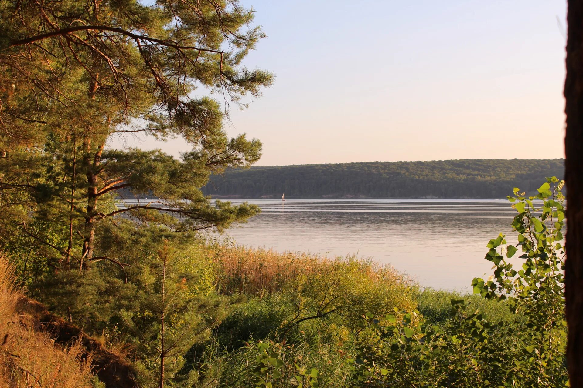 Гора казачья гузерипль. Кегичевский район озеро. Озера харьковская область. Озера харьковская область. Лиман (озеро, харьковская область).